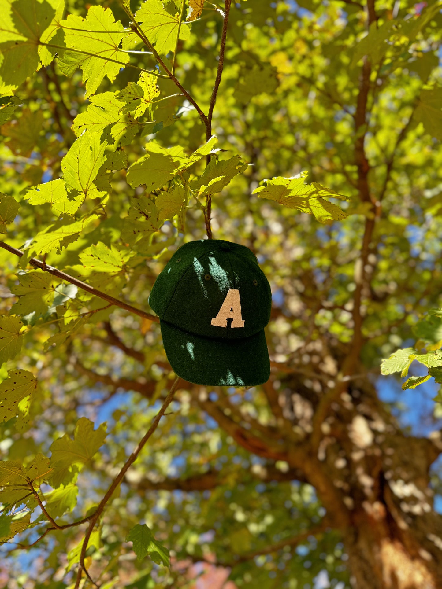 Varsity Cap